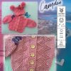 Noreens Knitting Pack - Image 3